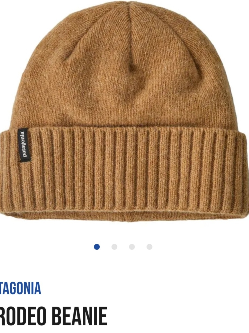 Patagonia Brodeo Beanie